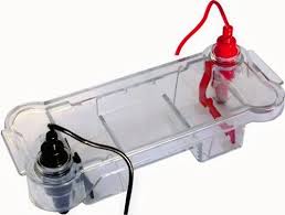 Electrophoresis Mini Horizontal