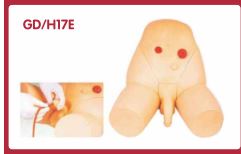 Male Catheterization Training Simulator GD/H17E