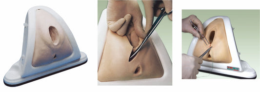 Episiotomy Training Simulator GD/F3A