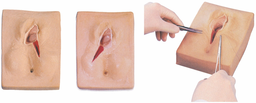 Vulva Suturing Training Simulators GD/F3B