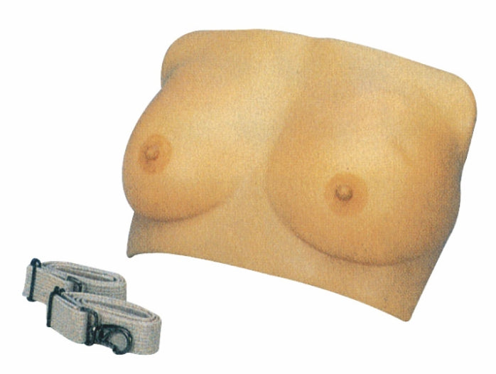 Breast Examination Model GD/ F7A