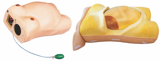Maternity Examination Model GD/FW2
