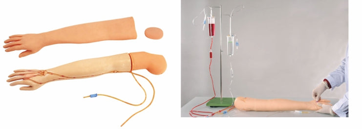 Multi-Functional IV Training Arm GD/HS2