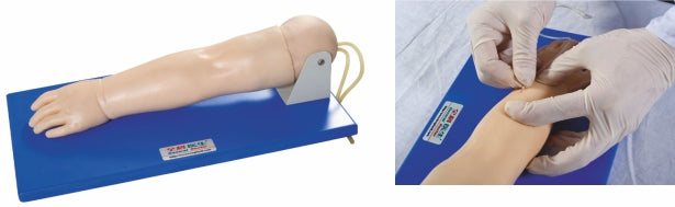 Pediatric Venipuncture Arm GD/HS32