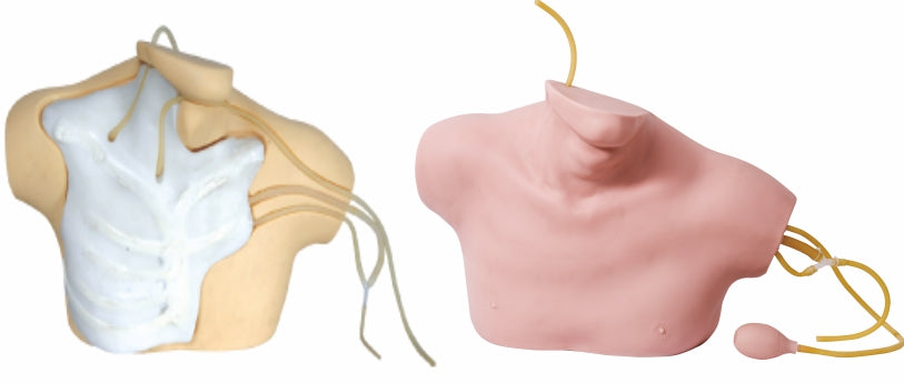 Central Venous Catheterization Simulator GD/L69B