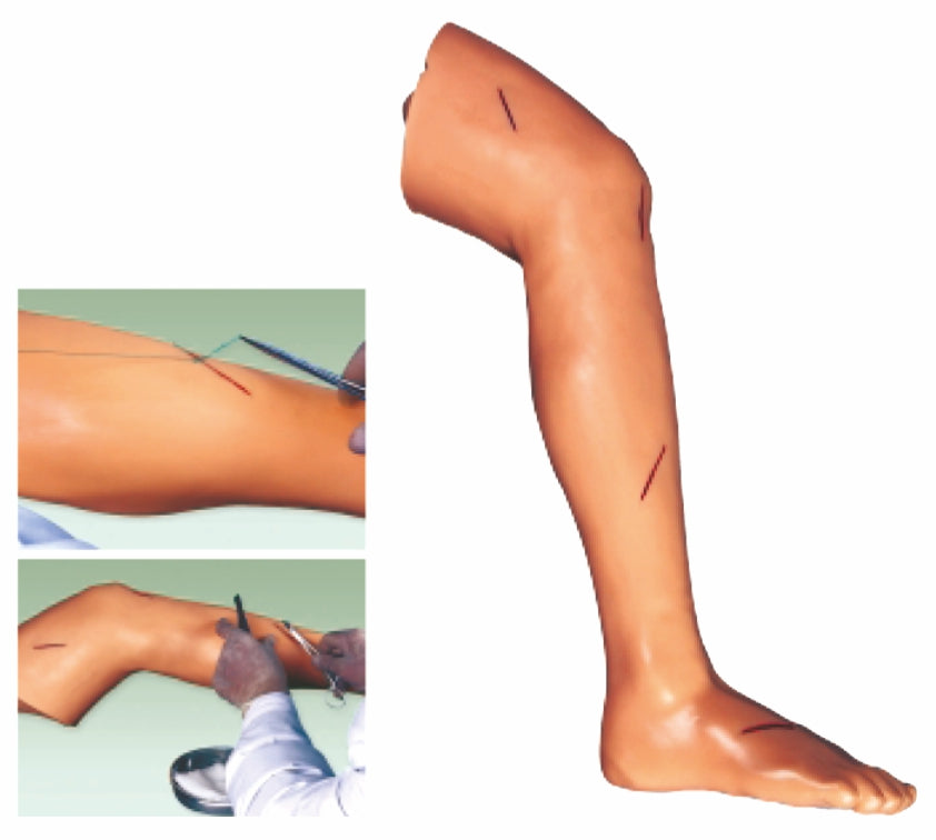 Advanced Surgical Suture Leg GD/LV2