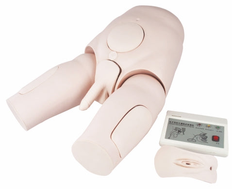 Electronic Catheterization & Enema Model DM-NS - 6070