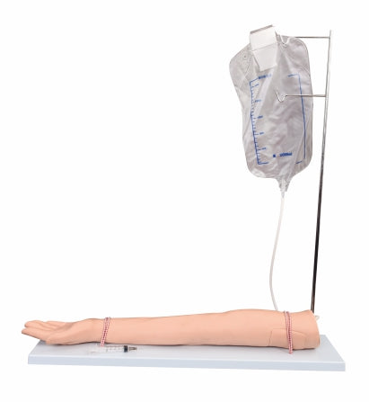 Injectable Training Arm Model (Set) XC-434