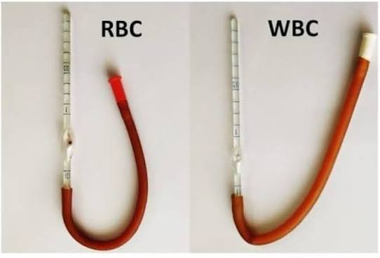 Heamocyto spares RBC/WBC